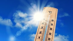 Der nächste heiße Sommer kommt bestimmt. (Bild: Jenny Sturm - stock.adobe.com)