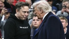 Elon Musk mit Donald Trump (Bild: AFP/BRENDAN SMIALOWSKI)