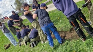 Die jungen Feuerwehrleute besuchten einen Imker und legten dort eine Bienenweide an (Bild: Feuerwehr Guttaring)
