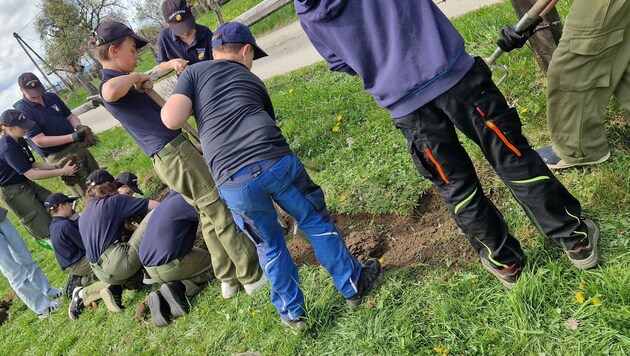 Die jungen Feuerwehrleute besuchten einen Imker und legten dort eine Bienenweide an (Bild: Feuerwehr Guttaring)