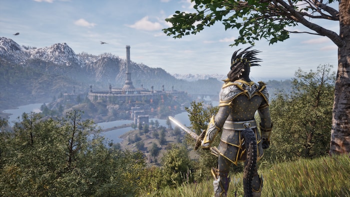Cyrodiil wartet darauf, von Gamern neu entdeckt zu werden.