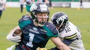 Michael Schachermayr will mit den Danube Dragons den Titel holen.