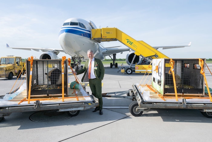 Tiergartendirektor Dr. Stephan Hering-Hagenbeck bei der Ankunft der Pandas am Wiener Flughafen.