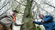 Sagl (rechts) präsentierte Perry das Buch im St. Pöltner Kaiserwald