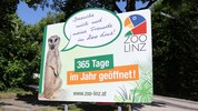 In Tiergärten wie dem Linzer Zoo ist Streicheln aktuell verboten