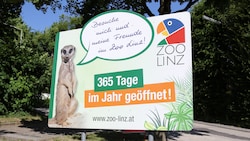 In Tiergärten wie dem Linzer Zoo ist Streicheln aktuell verboten (Bild: Pressefoto Scharinger/Daniel Scharinger)