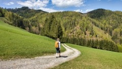 Sanfte Hügellandschaften und viel Natur – die Region um Rein ist einen Ausflug wert!