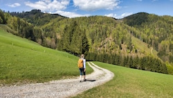 Sanfte Hügellandschaften und viel Natur – die Region um Rein ist einen Ausflug wert! (Bild: Weges)