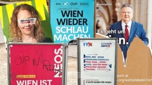 (Bild: Krone KREATIV/Institut für Graffiti-Forschung)
