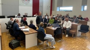 (Bild: HS, Krone KREATIV)
