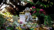 In Klagenfurt gibt es bereits seit vielen Jahren einen Tierfriedhof. (Bild: Nina Zesar/TiKo)