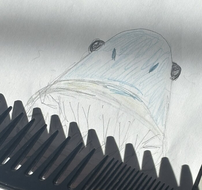 Im Repertoire haben sie auch das Spiel mit Schatten.