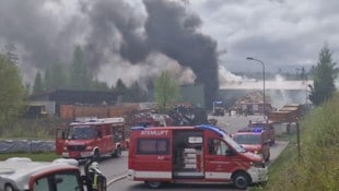 Der Brand beim Entsorgungsbetrieb forderte den Florianis einiges ab. (Bild: DOKU-NÖ)