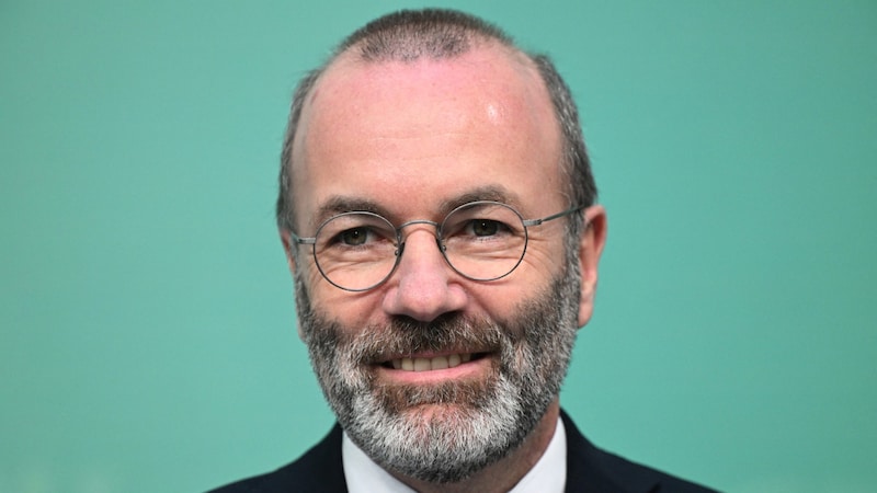 EVP-Chef Manfred Weber (Bild: AFP/Ralf Hirschberger)