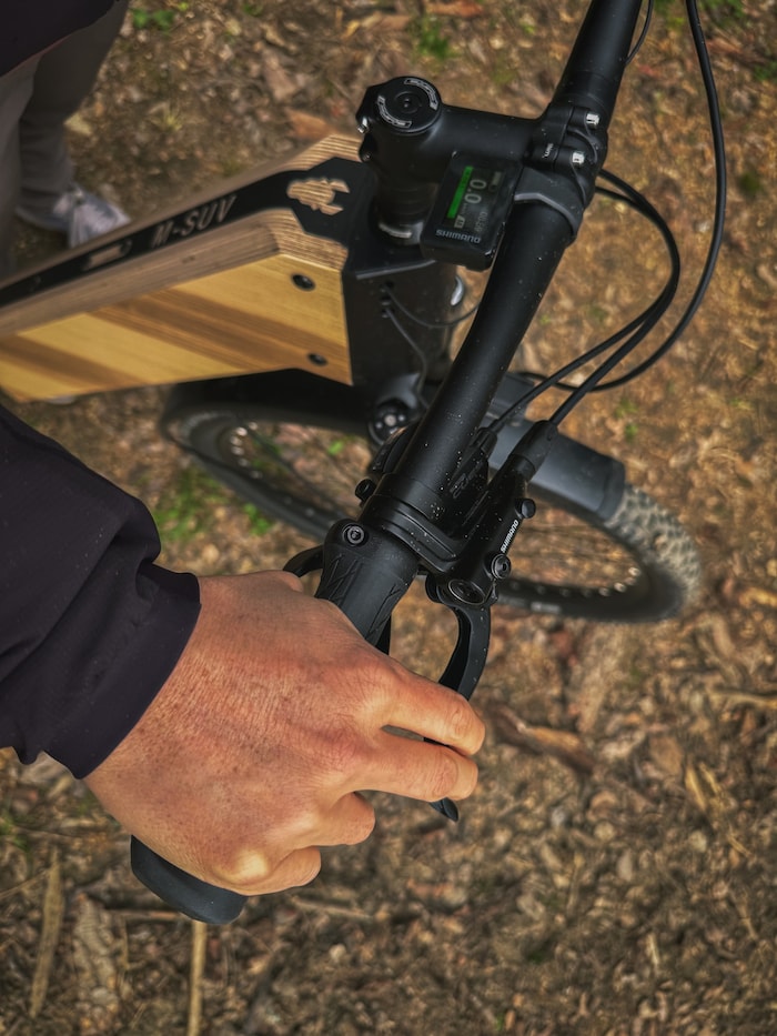 Der Lenker ist aufgeräumt und das kleine Shimano-Farbdisplay ideal platziert. 