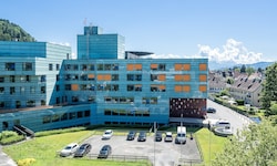 Der junge Mann wurde ins Bregenzer Krankenhaus gebracht.