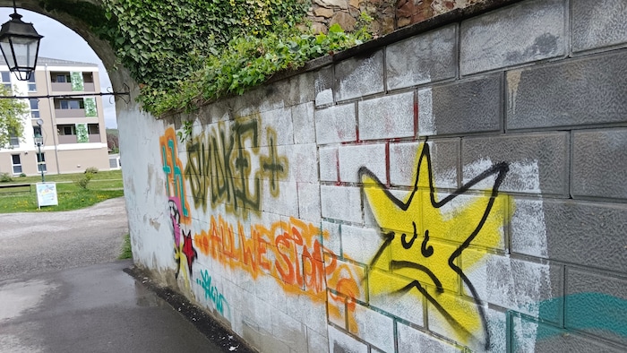 Für einige der Graffiti in Horn zeichnet der 42-Jährige verantwortlich.