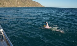 Die 31 Kilometer durchquerte Köberl in acht Stunden und 43 Minuten – Wassertemperatur 13 Grad ...