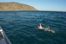 Die 31 Kilometer durchquerte Köberl in acht Stunden und 43 Minuten – Wassertemperatur 13 Grad ...