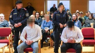 Bei der Verhandlung in Linz saß die 37-Jährige (verpixelt) hinter ihrem Sohn. Auch jetzt steht ...