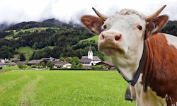 Im beschaulichen Leogang steht ein Bauernhaus samt 24 Hektar Grund zum Verkauf – für 6,9 ...