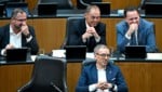 Die FPÖ kann sich als Zaungast ins Fäustchen lachen.