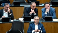Die FPÖ kann sich als Zaungast ins Fäustchen lachen.