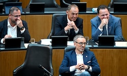Die FPÖ kann sich als Zaungast ins Fäustchen lachen.