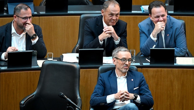 Die FPÖ kann sich als Zaungast ins Fäustchen lachen.