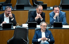 Die FPÖ kann sich als Zaungast ins Fäustchen lachen.