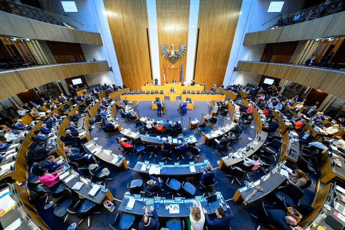 ⁣Ausschüsse, Populismus, Streitereien. Ein wiederkehrendes Bild im Parlament.