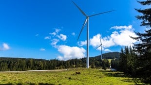 Auf der Freiländeralm errichtet die Energie Steiermark insgesamt 17 Windräder. (Bild: Energie Steiermark)