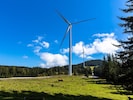 Auf der Freiländeralm errichtet die Energie Steiermark insgesamt 17 Windräder. (Bild: Energie Steiermark)