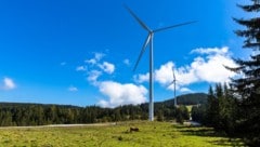 Auf der Freiländeralm errichtet die Energie Steiermark insgesamt 17 Windräder.
