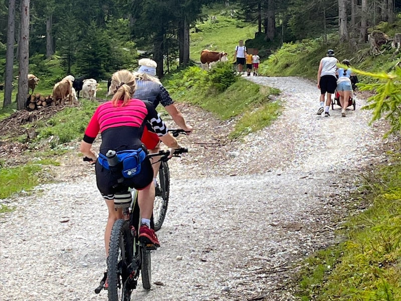 Direkt vor der Alm von Ramona E. radeln und wandern Einheimische und Gäste an den Kühen vorbei. (Bild: Ramona E., Krone KREATIV)