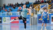 Die BT Füchse treffen im ersten Viertelfinalspiel zuhause auf HC Linz. (Bild: GEPA)