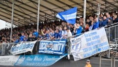 Hartberg kann am 1. Mai in Klagenfurt auf den „12. Mann“ im Stadion bauen – über 6000 sollten die Blauen in ihrem Rücken haben. So eine Fan-Reise gab’s für den Klub nie. (Bild: GEPA)