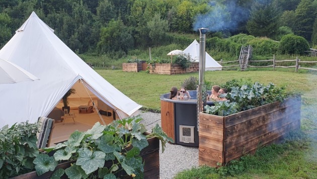 (Bild: www.wildnasswald.at)
