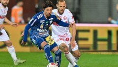 Dominik Prokop traf zum 1:0 für Hartberg. (Bild: GEPA)