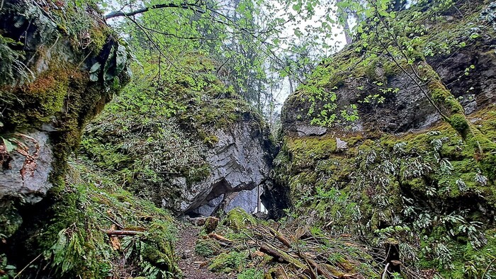 Nahezu verwunschen mutet die Landschaft in Bezau an. 