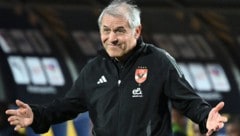 Marcel Kollers Zeit bei Al-Ahly dürfte schon bald vorbei sein. (Bild: AFP/KHALED DESOUKI)