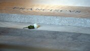 Eine einzelne weiße Rose am Grab von Papst Franziskus als Symbol seiner Verbundenheit zu einer ...