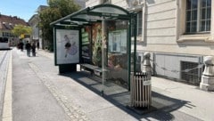 Die Folierung ist kaum erkennbar – der Schatten jedoch spürbar. (Bild: Michaela Holzinger)