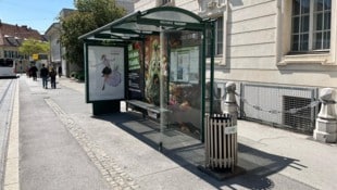 Die Folierung ist kaum erkennbar – der Schatten jedoch spürbar. (Bild: Michaela Holzinger)