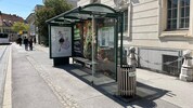 Die Folierung ist kaum erkennbar – der Schatten jedoch spürbar.