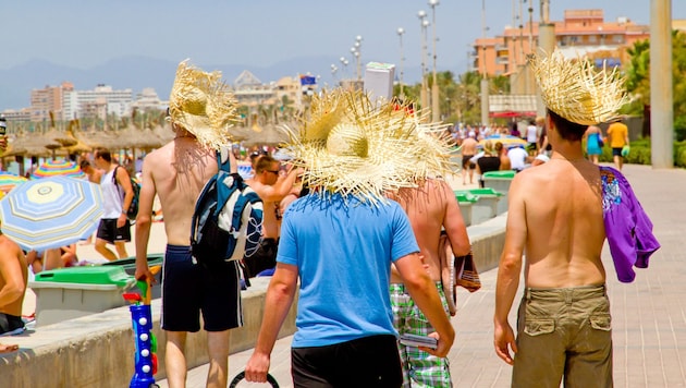 Mallorca ist ein beliebtes Reiseziel bei deutschen und österreichischen Urlaubern. Vor allem ...