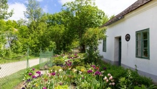 Im „Dorf im Dorf“ in Niedersulz hat man heuer viel zu bieten.