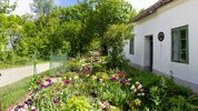 Im „Dorf im Dorf“ in Niedersulz hat man heuer viel zu bieten.