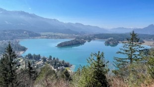 Evelyn Hronek Das Tourismusland Kärnten will einsparen – aber offenbar nicht mit den Tipps des ...