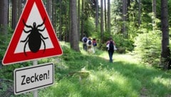 Vorsicht besonders im Unterholz, im Gebüsch oder im hohen Gras. Nach Ausflügen den Körper ...